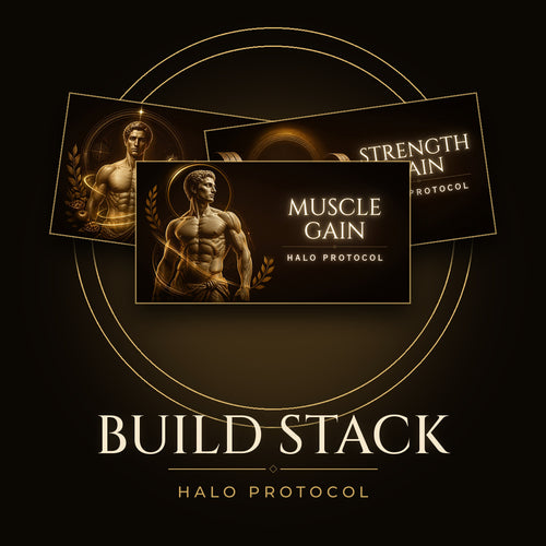 Build Stack by Halo Protocol