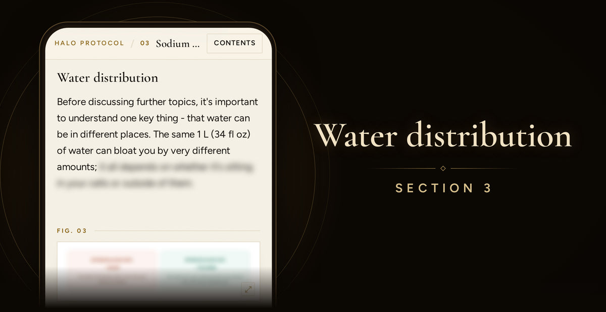 Debloat Protocol: Water distribution (Section 3)