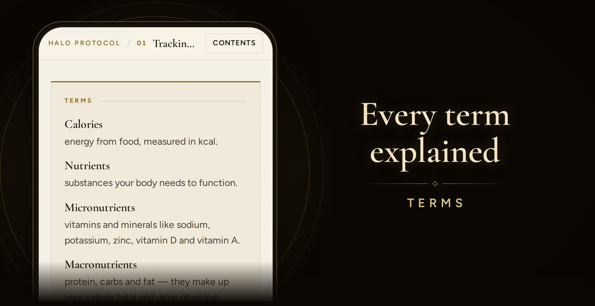 Diet Tracking Protocol: Every term explained (Terms)