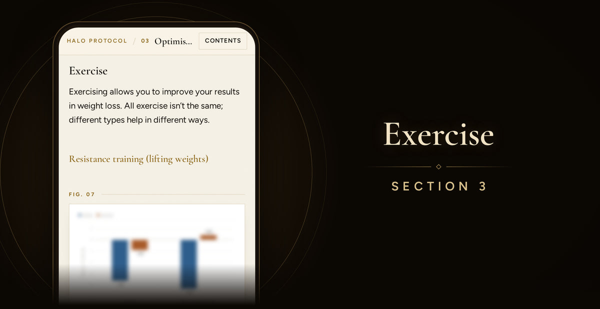 Fat Loss Protocol: Exercise (Section 3)