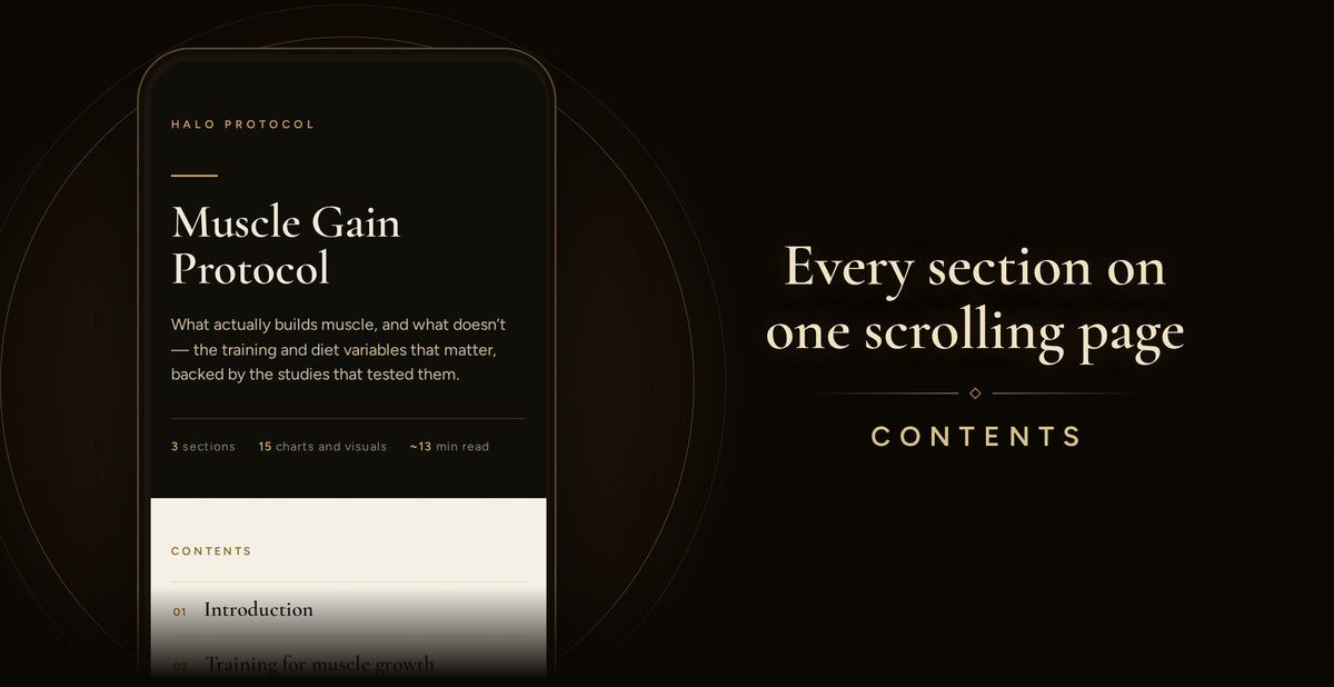 Muscle Gain Protocol: Every section on one scrolling page (Contents)