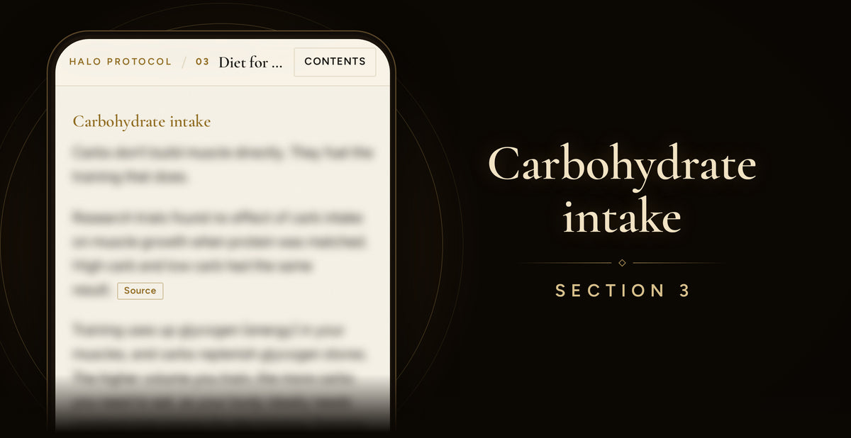 Muscle Gain Protocol: Carbohydrate intake (Section 3)