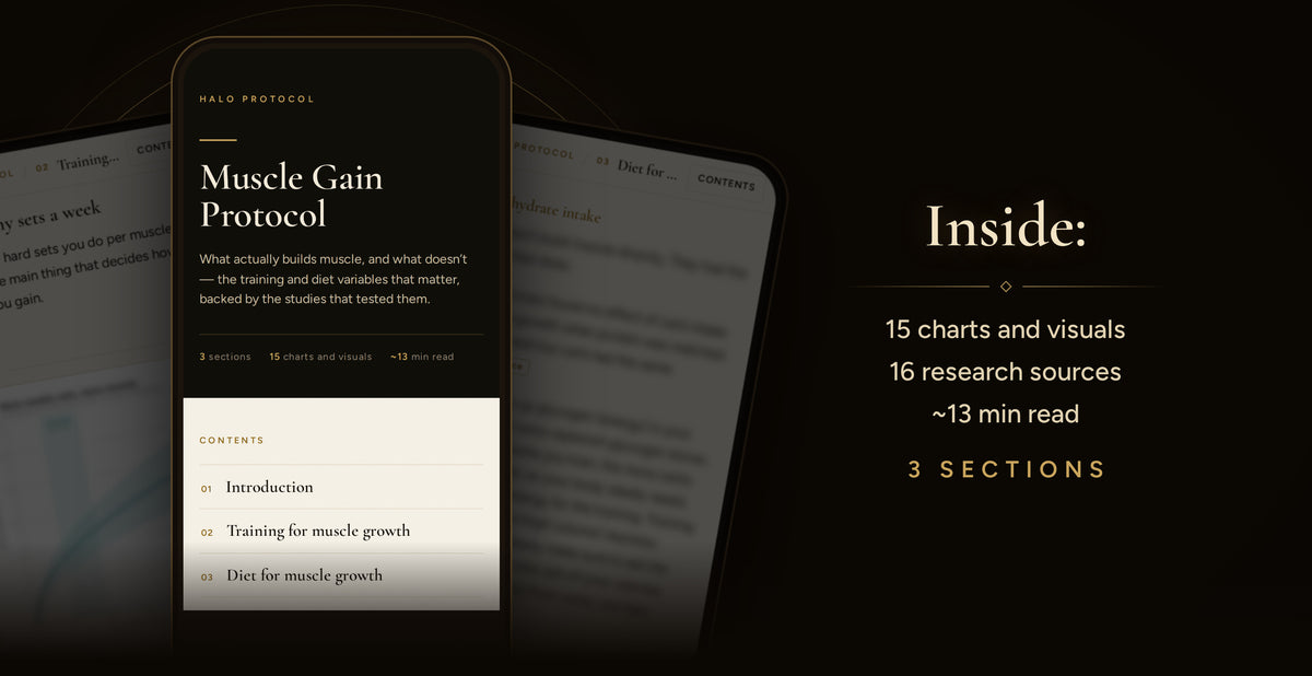 Muscle Gain Protocol, inside: 15 charts and visuals, 16 research sources, ~13 min read, 3 sections